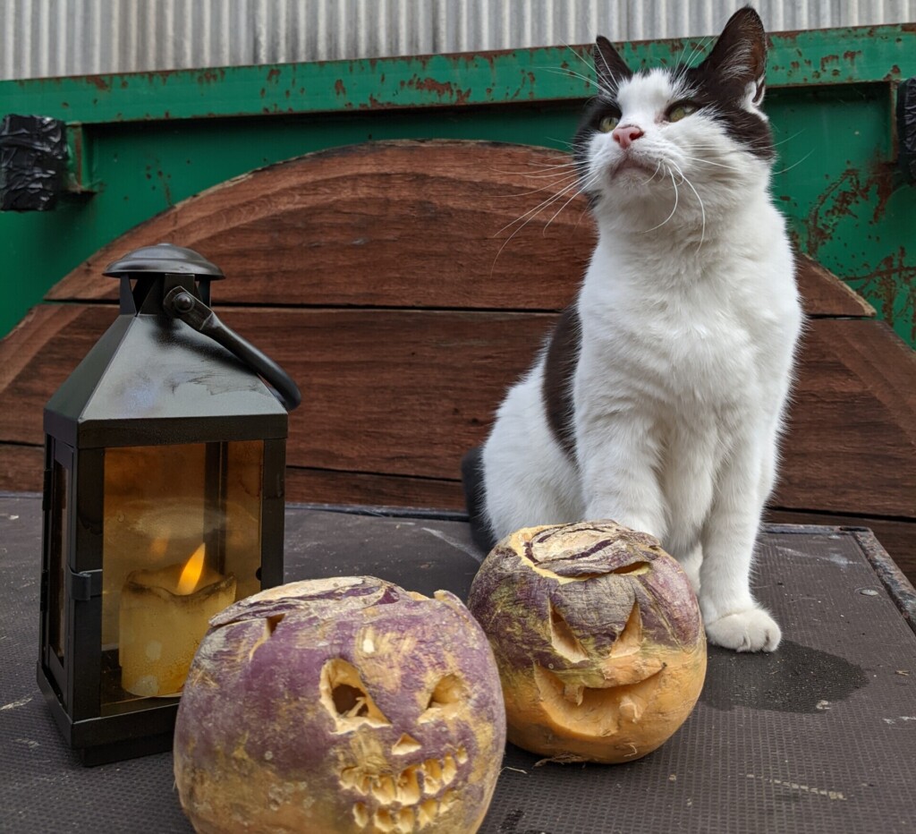 Terrifying Turnip Trail at SS Great Britain